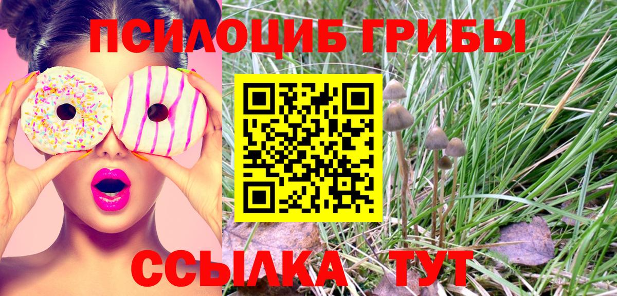 Псилоцибиновые грибы MAGIC MUSHROOMS Артём